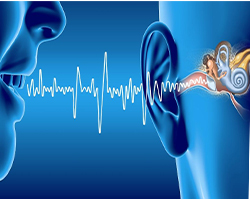 Ανατομία αυτιού και αίσθηση της ακοής